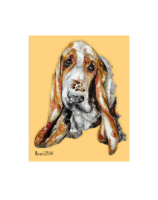 Alphonse le basset - édition limitée