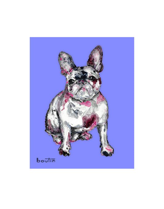 George IXI the French Bulldog