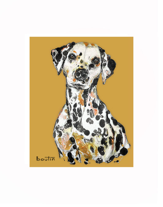 Jack the Dalmatian