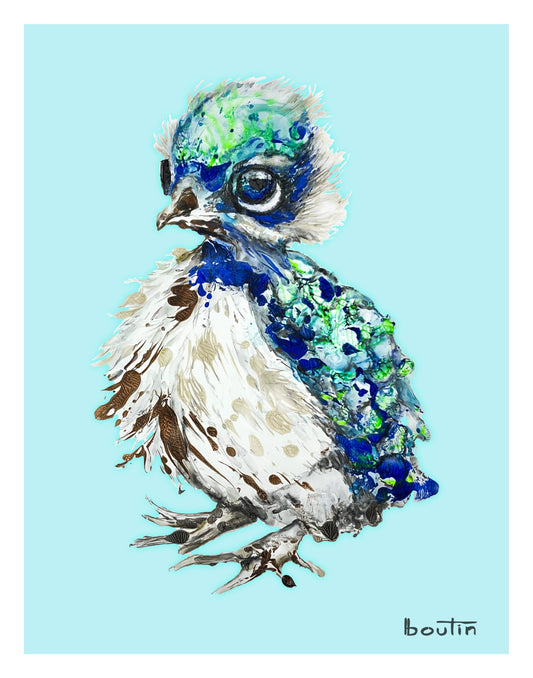blue peacock