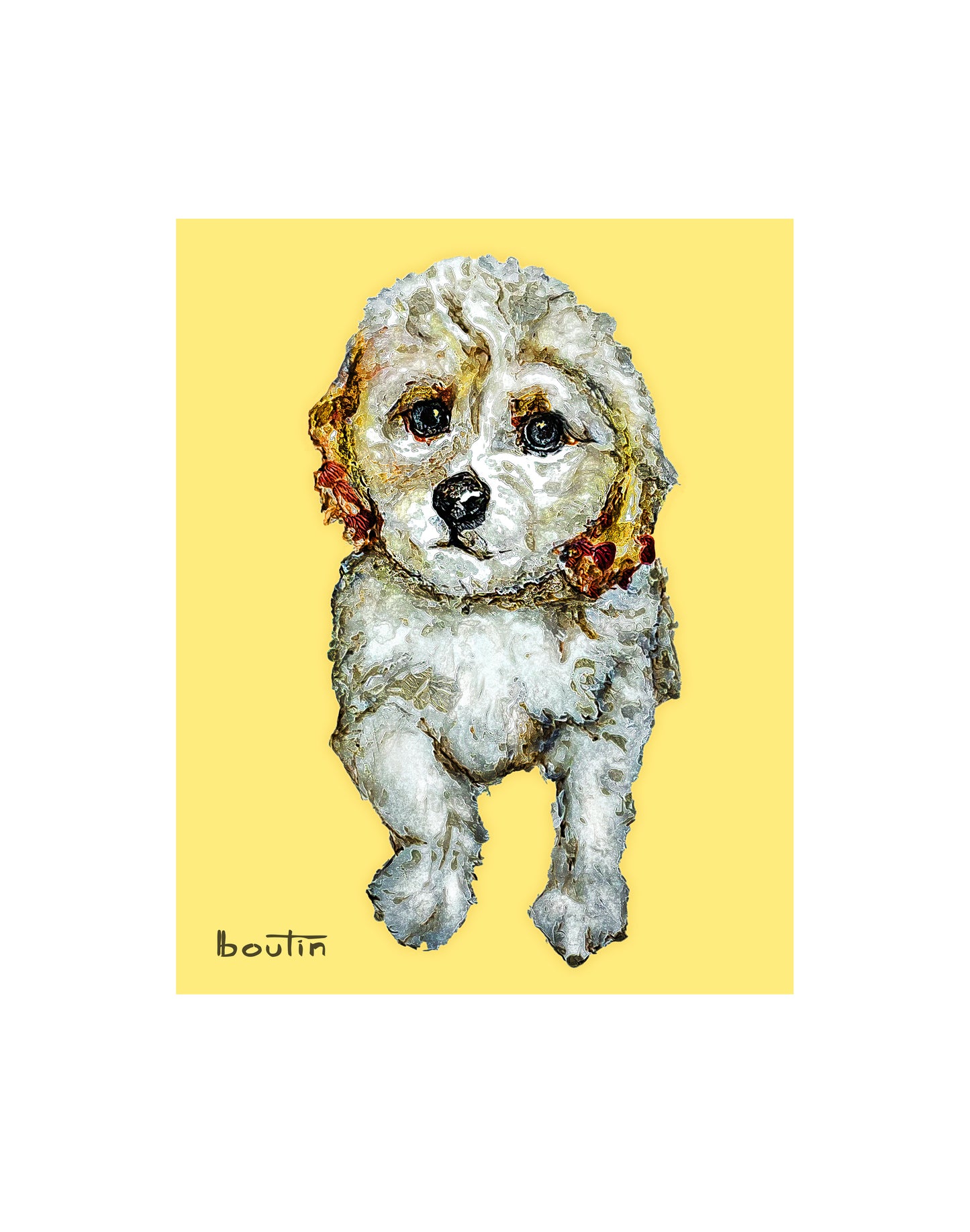 Prince- The Cockapoo