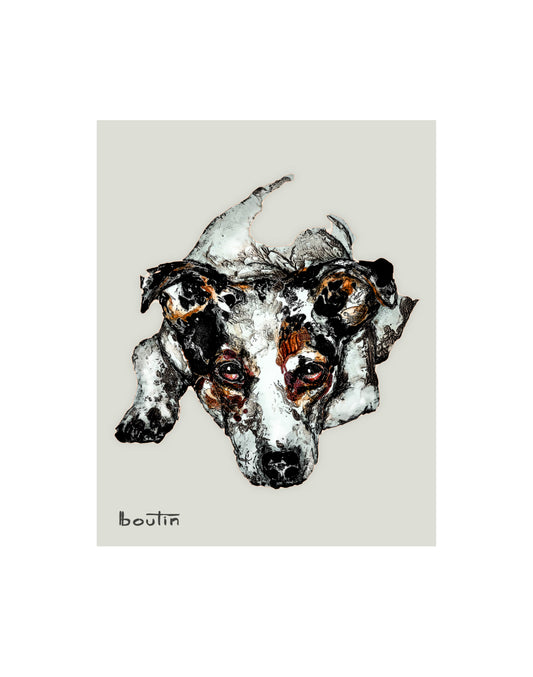 Russell - The Jack Russell