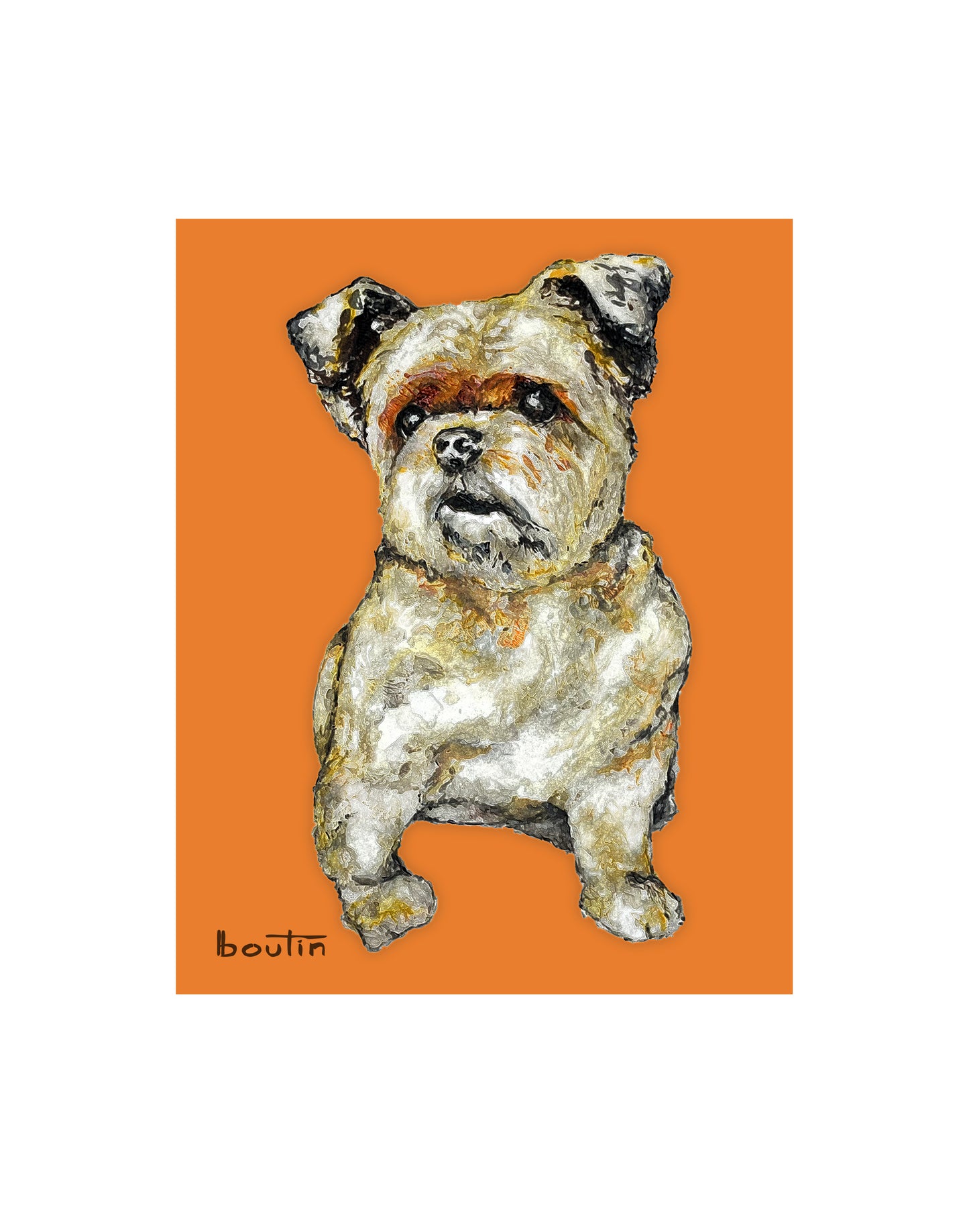 Mia - Le Shorky