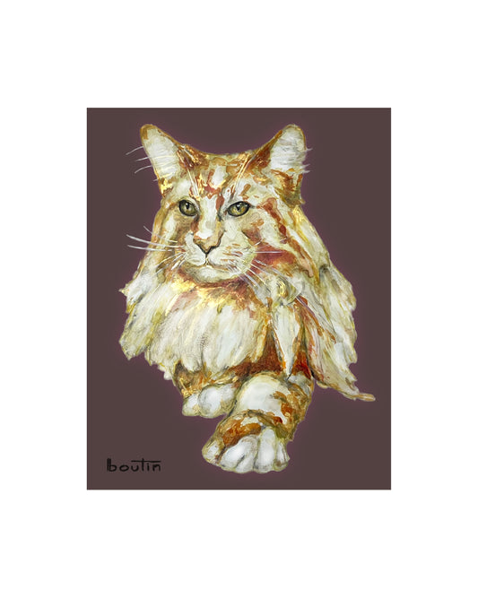 Arthur the Maine Coon - Limited Edition