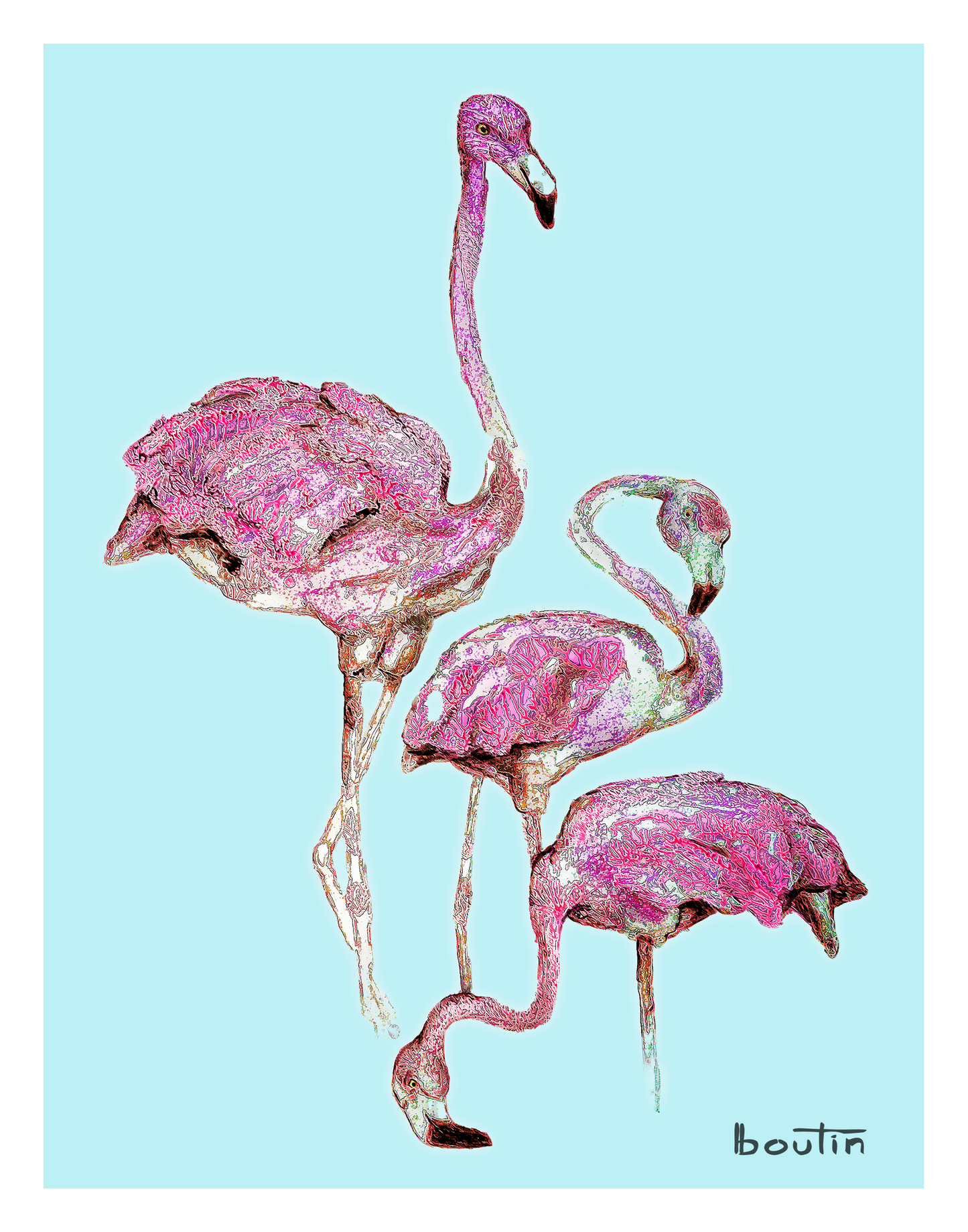 La vie en rose - The pink flamingos