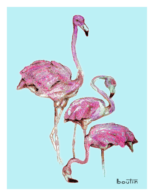 La vie en rose - The pink flamingos