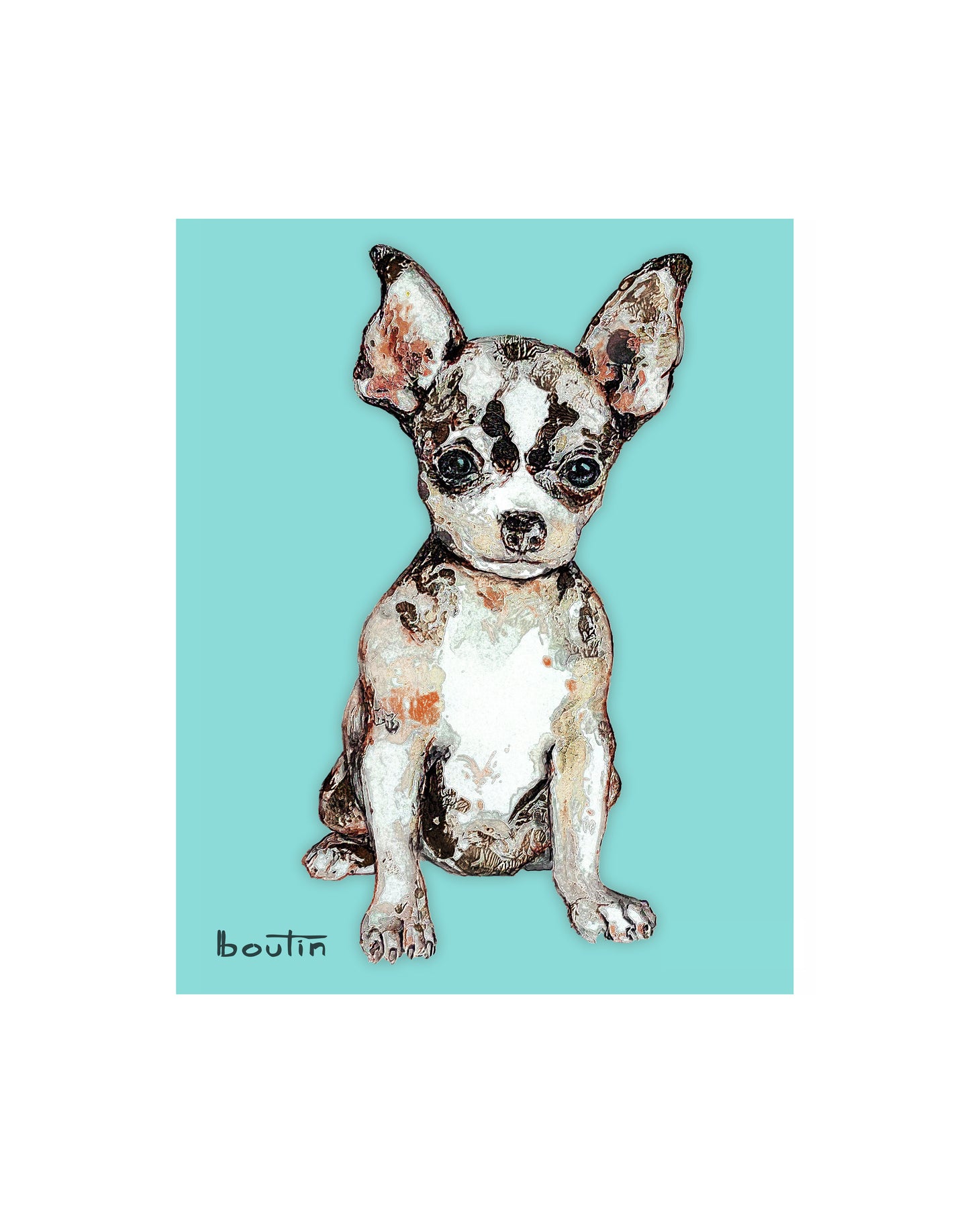 Raoul - The Chihuahua