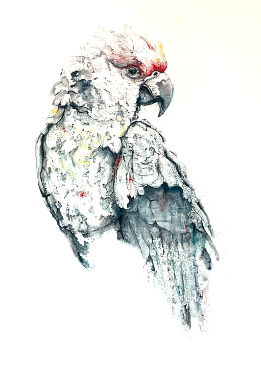 Feathered Radiance Unveiled
