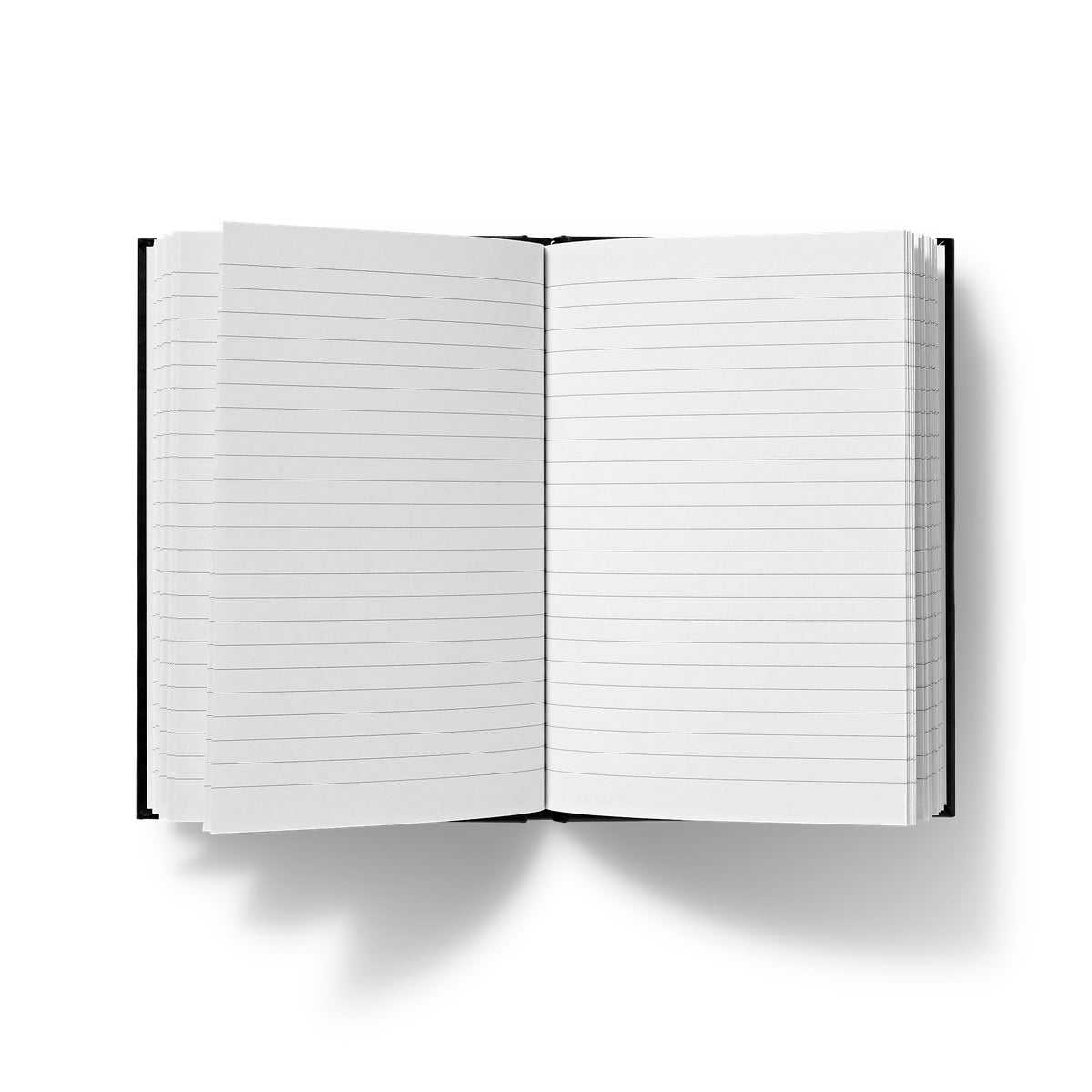 Alphonse crème - Notebook by the artist Boutin